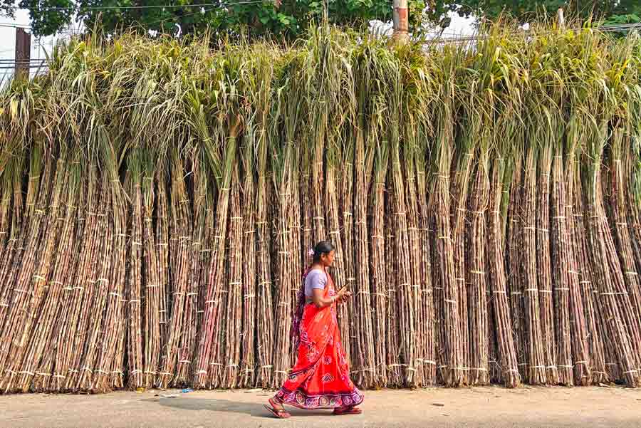 Stacks of sugarcane for sale for Chhath Puja at Rabindra Sarani on Tuesday afternoon