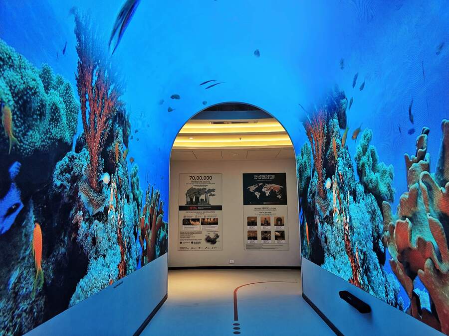 Visitors can stroll by fibre-reinforced plastic models of birds like dodo, spix macao, kamao and passenger pigeon as also animals like trotting harness horse and marsupials like desert rat kangaroo