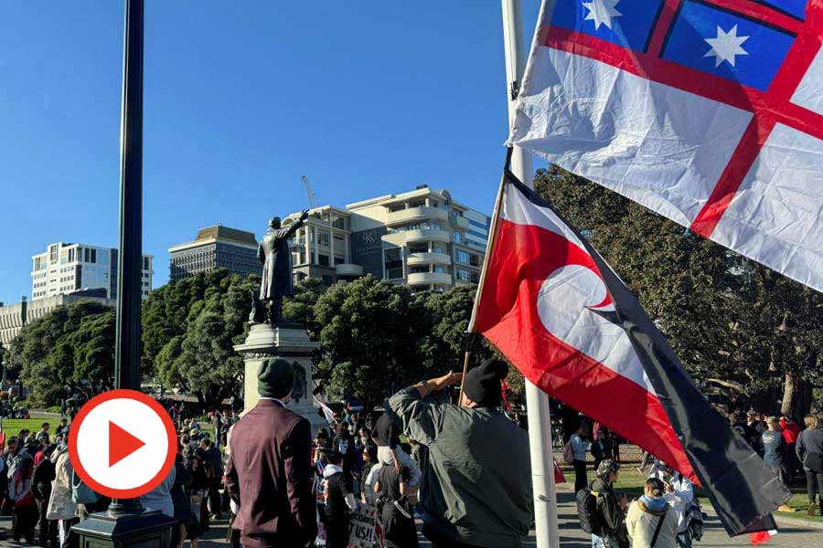FILE PHOTO: Protesters gather outside New Zealand's parliament buildings to protest policies seen as discriminatory to Indigenous Maori in Wellington, New Zealand, May 30, 2024.