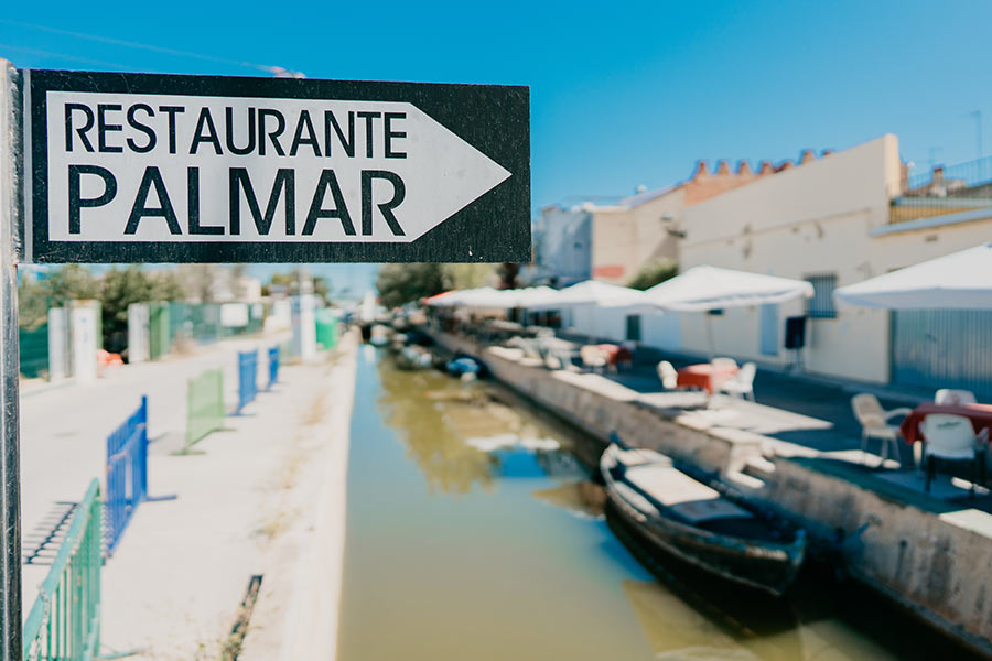 After a 45-minute boat ride around the Albufera, you can enjoy a hearty lunch at El Palmar Restaurant, where you can relish four appetisers and share a paella too