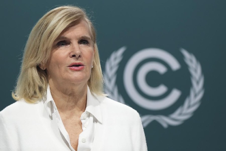 Director of WHO’s public health and environment department, Maria Neira, at a session during COP29 in Baku.