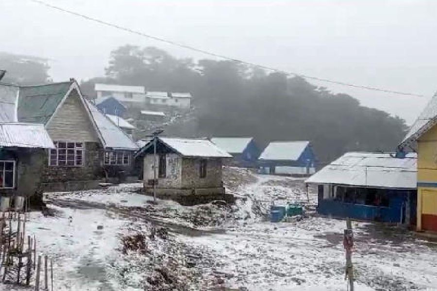 Sandakphu | Sandakphu, the highest point in Bengal receives its first ...