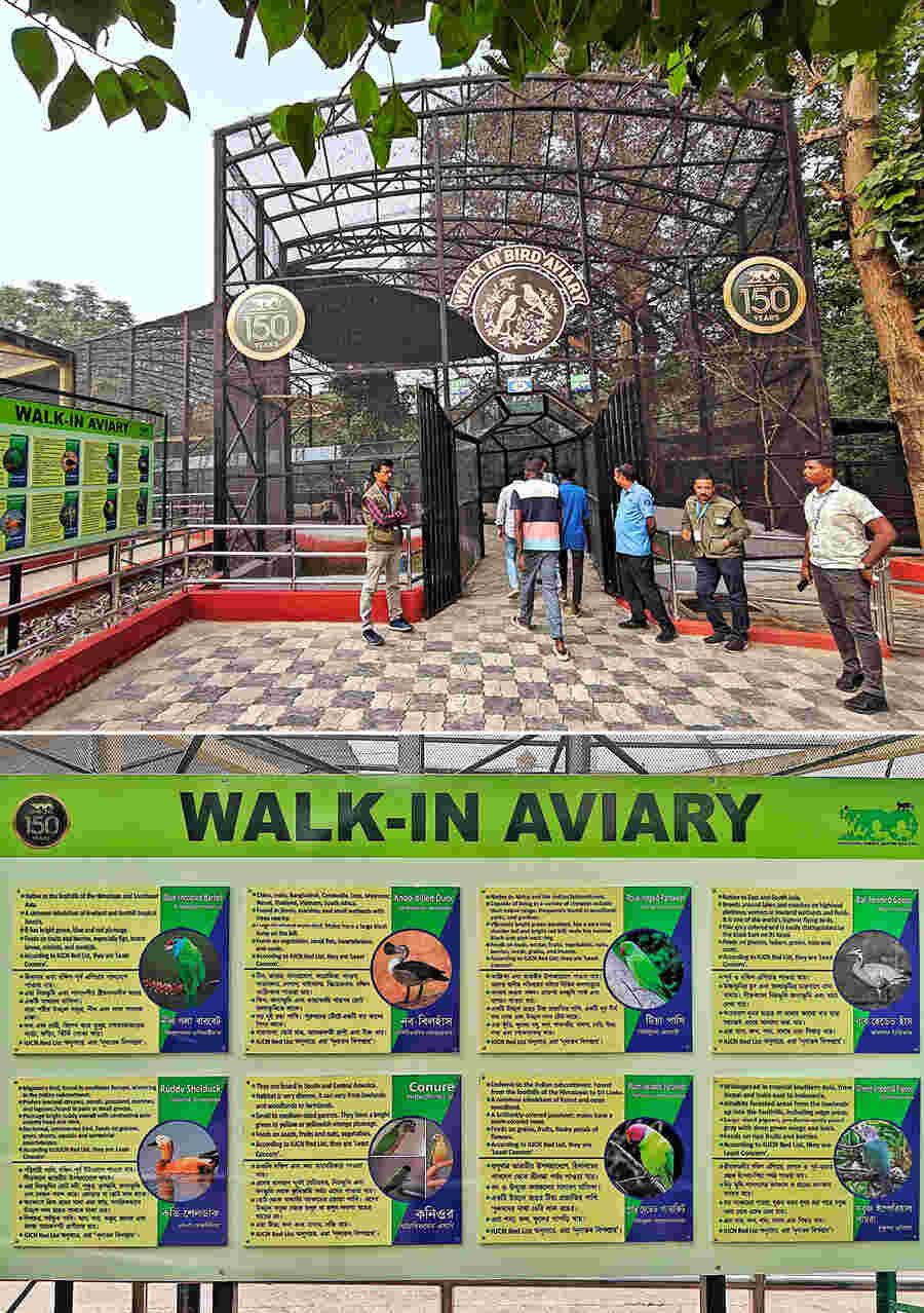 Alipore Zoological Garden, in an initiative to boost the footfall of visitors, has developed an open-air aviary for 200 flying birds of 14 varieties. Visitors will be able to watch them from inside a glass enclosure for no extra cost
