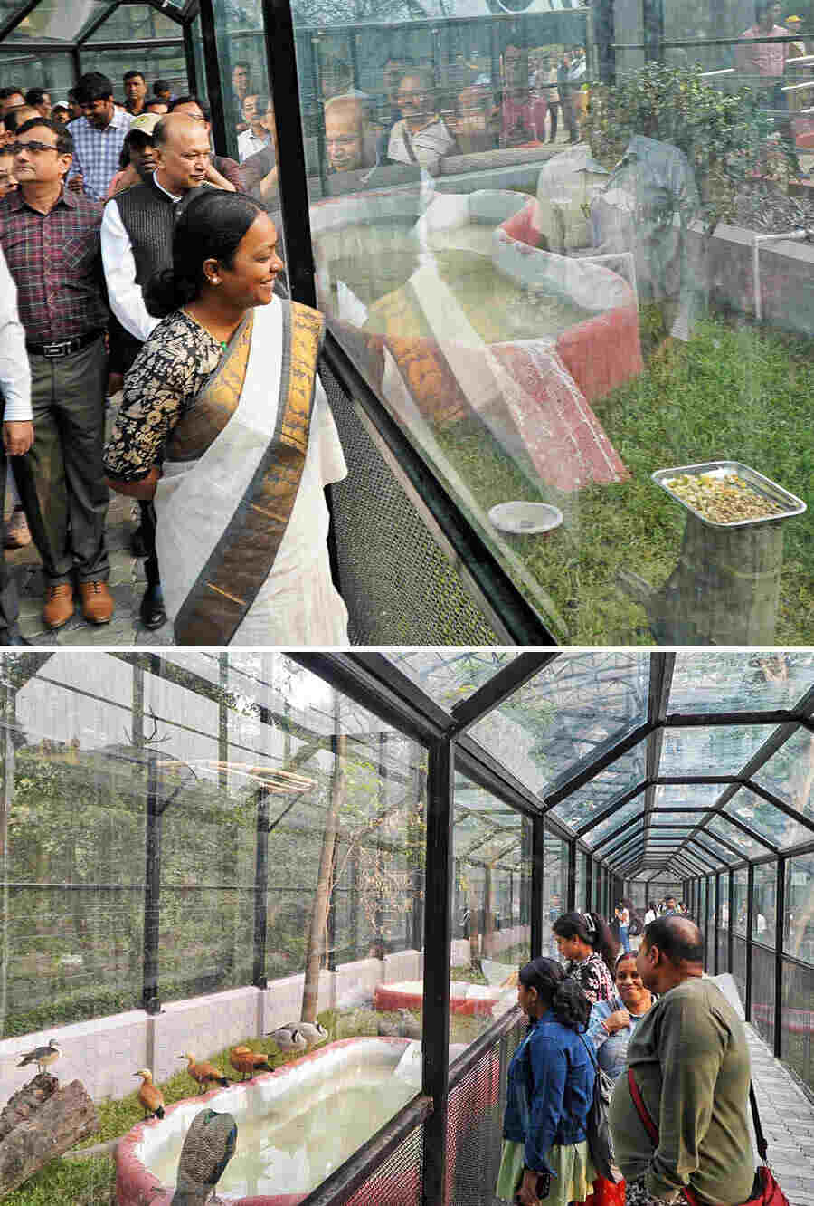 The delight of watching so many colourful birds reflected on state forest minister Birbaha Hansda during the inauguration of the Walk-In Aviary on November 25, Monday. Visitors too started making a beeline for the new experience, soon after
