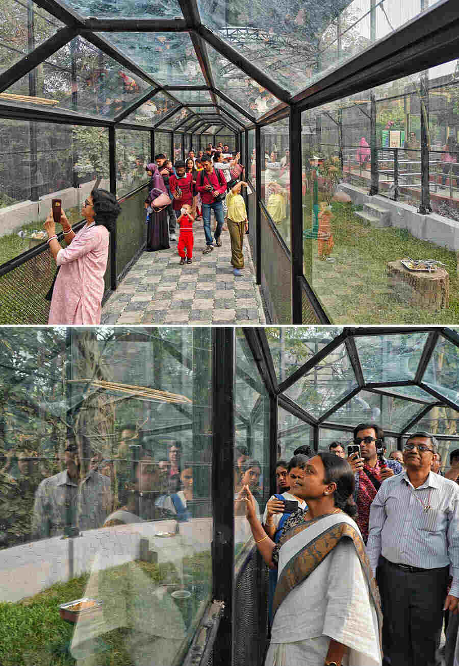 Visitors could be spotted watching several avian species with more patience and interest on Monday, besides of course, capturing the birds flitting around the huge spaces, on mobile phone cameras. The zoo authorities are also planning to introduce more species of colourful birds in a few months