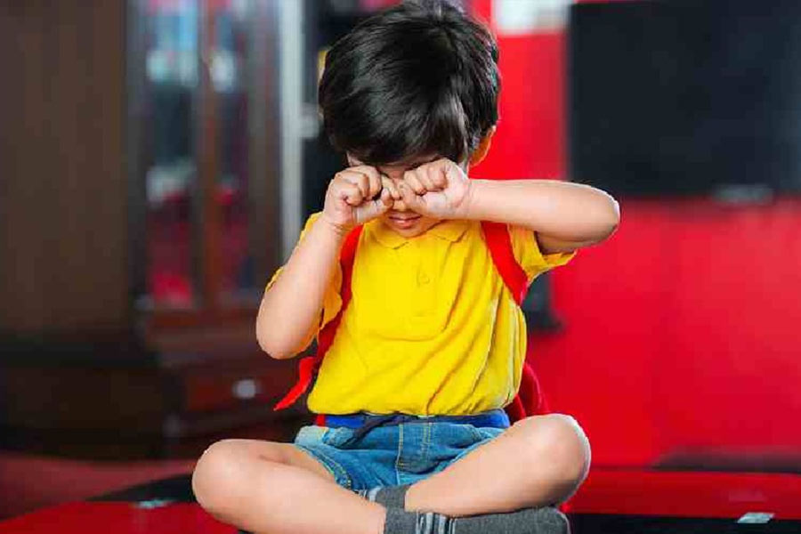 SEL equips parents and children with the skills to navigate life’s rollercoaster of emotions