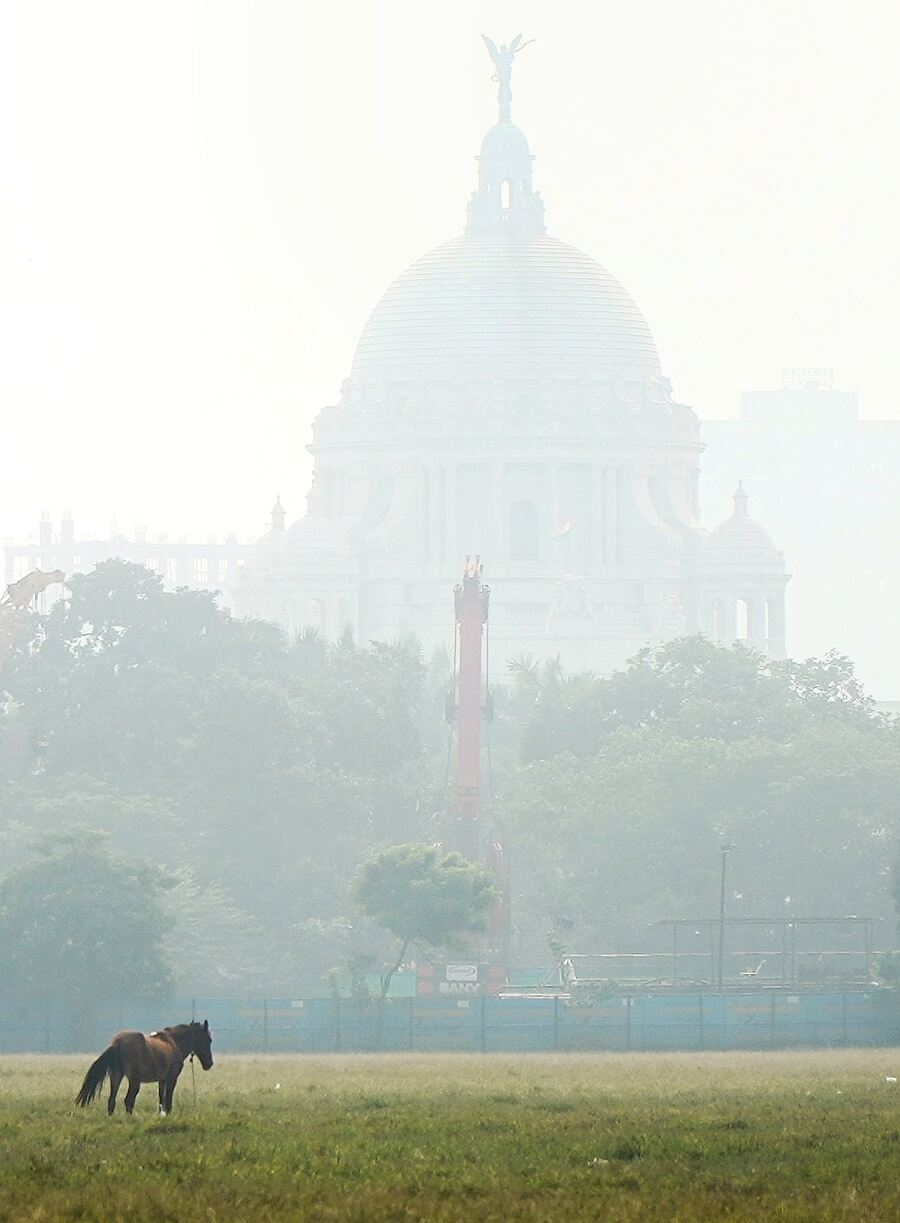 Smog envelops Victoria Memorial Hall on Thursday morning