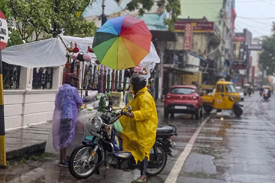 A roadside umbrella stall, in Puducherry, Saturday, Nov. 30, 2024. PTI