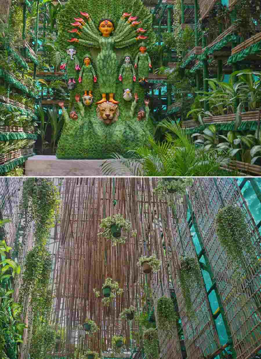 A mind-boggling 8,000-plus natural plants have been used for a ‘greenhouse effect’ at the Lalabagan Nabankur Durga Puja pandal near Shyambazar in north Kolkata based on the theme ‘Lalabagane Nabankur’in its 65th year