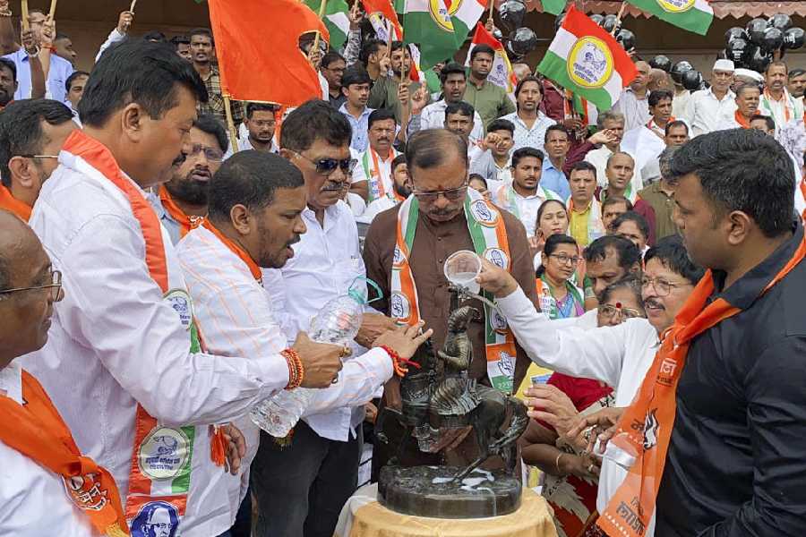 Members of Maha Vikas Agadhi (MVA) perform milk consecration on a statue of Chhatrapati Shivaji Maharaj in protest against the collapse of Malvan's Shivaji Maharaj statue, in Sindhudurg, Wednesday, Aug. 28, 2024. 