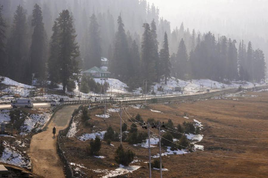 The forests of J&K have been declared highly vulnerable to the effects of unpredictable weather patterns, which experts have attributed to climate change and global warming