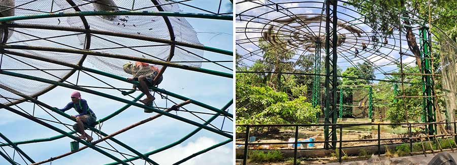 Cage repair work in progress at Alipore zoo on Monday morning