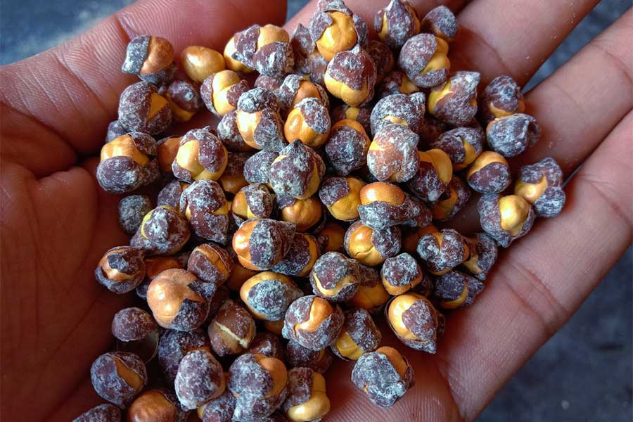 Roasted chana is the main ingredient of this easy recipe