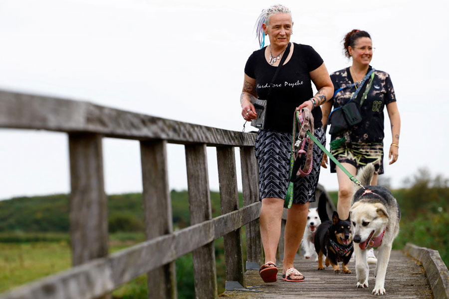 Dog Deezi from an Istanbul shelter walks with its new owners Caroline and Meike in Haarlem, Netherlands September 3, 2024. 