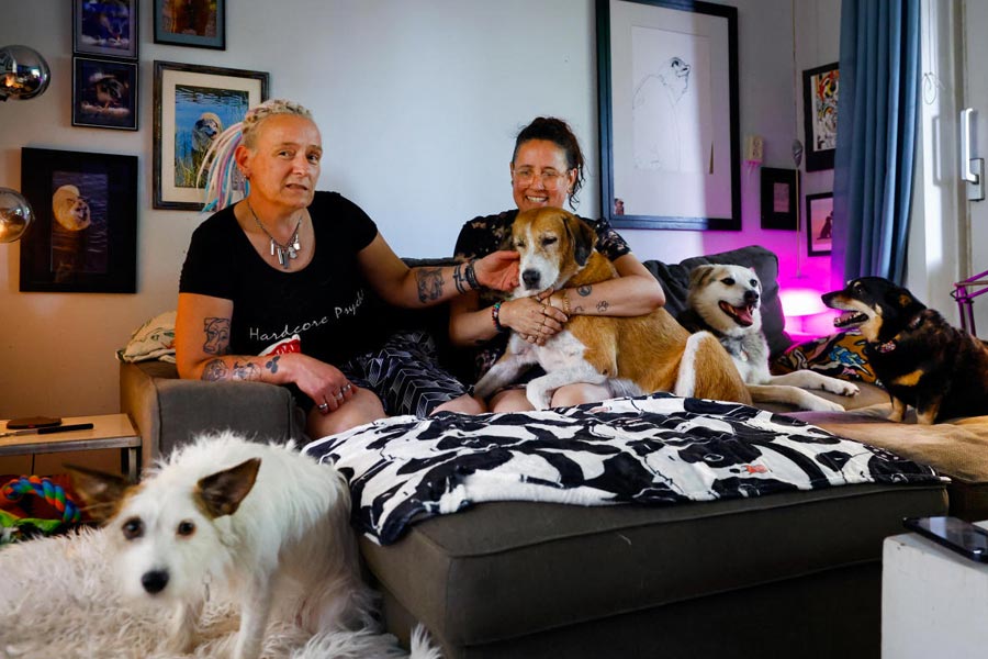 Dog Deezi from an Istanbul shelter lies next to its owners Caroline and Meike in Haarlem, Netherlands September 3, 2024.