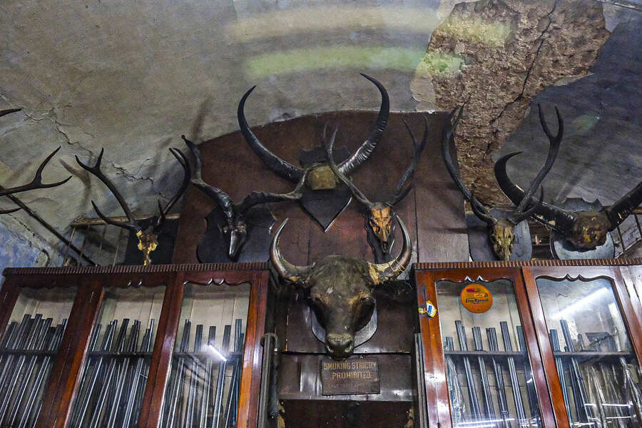While prices may be on the higher end compared to other gun stores in India, the range of available options and the rich history attached to the store make it a preferred choice for people. For hunting enthusiasts and sports shooters, the store stocks rifles from brands like Winchester, Remington, and Ruger.  Available in both bolt-action and semi-automatic configurations, these rifles are priced between Rs 75,000 and Rs 3,00,000, depending on the make, model, and additional customisations. Featured in picture above are deer trophies along with stacked guns in glass showcases at the store