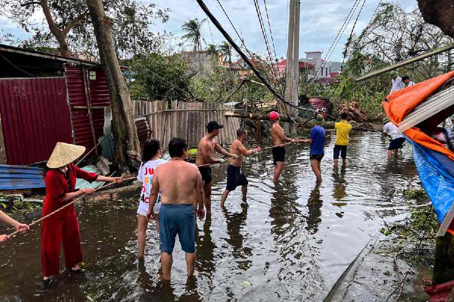 People remove fallen trees following the impact of Typhoon Yagi, in Hai Phong, Vietnam.