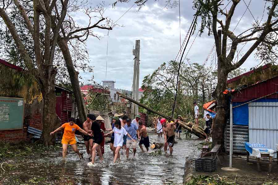 People use ropes to remove fallen trees following the impact of Typhoon Yagi, Hai Phong, Vietnam.