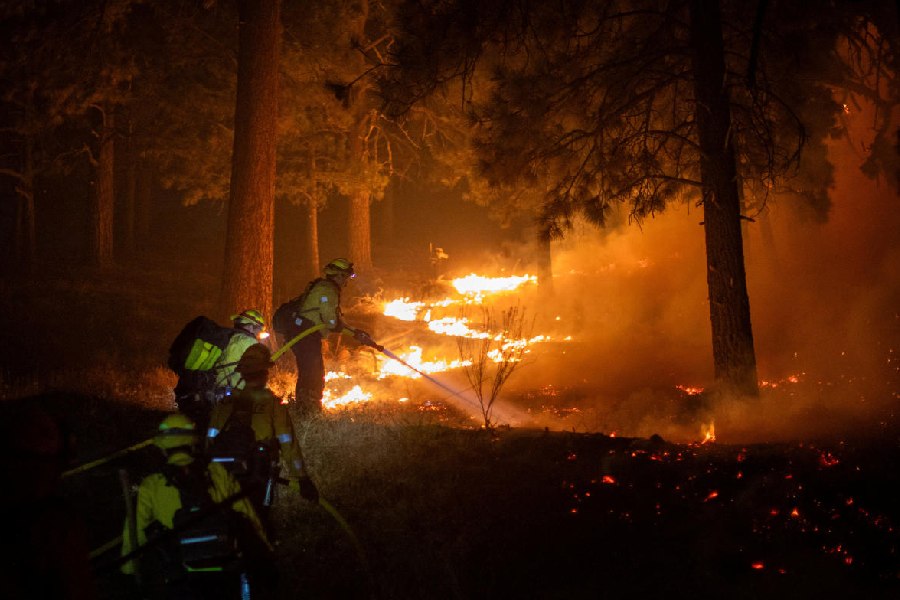 Cal Fire firefighters tackle the Bridge Fire threatening mountain communities to the northeast of Los Angeles, in Wrightwood, California, U.S.