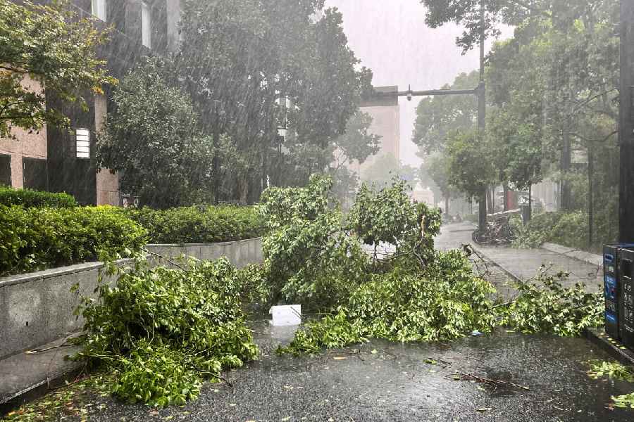 Fallen tree branches seen on the streets amid heavy rainfall, after Typhoon Bebinca made landfall in Shanghai, China September 16, 2024.