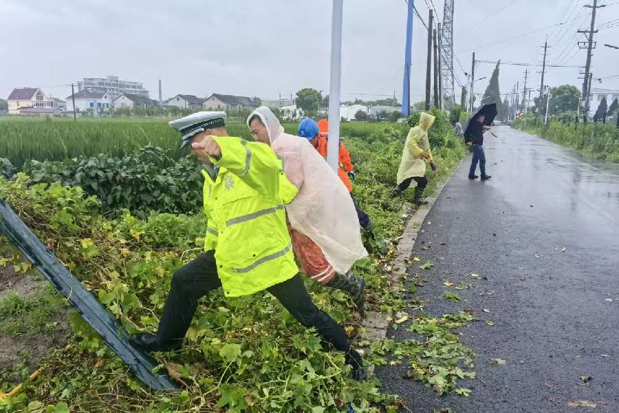 Typhoon Bebinca made landfall in Shanghai on Monday morning, knocking down trees across the city.
