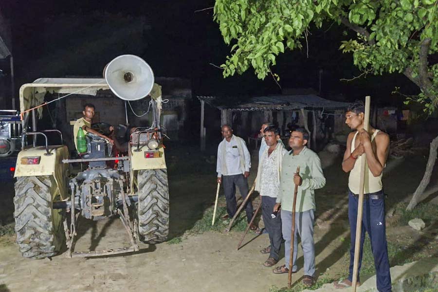 Locals stand guard with sticks and rods to keep a vigil amid wolf attacks, at Orahi village, in Bahraich district, early Wednesday, Sept. 4, 2024