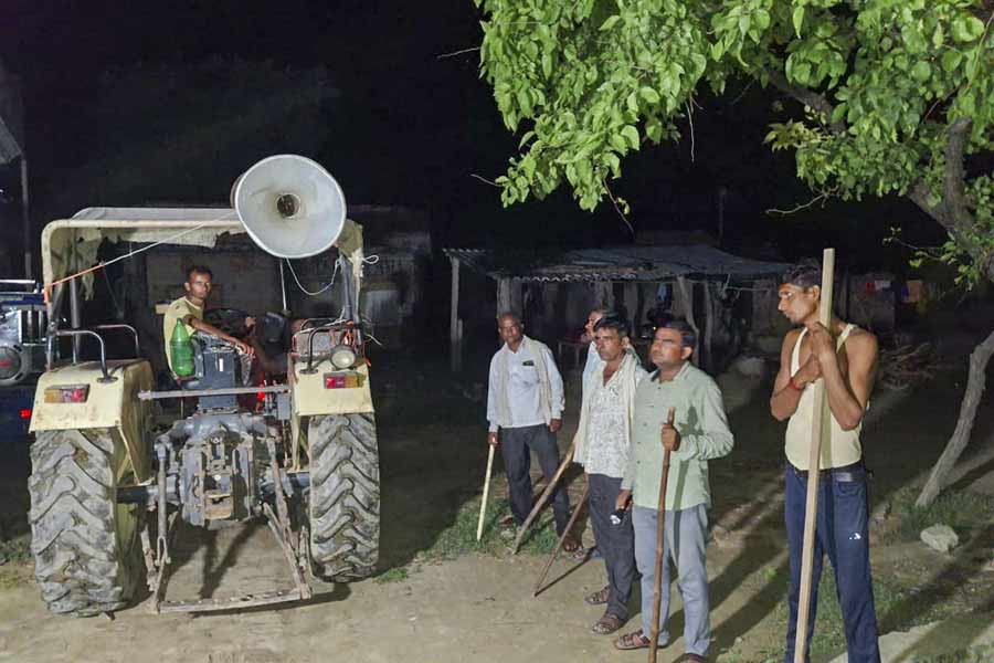 Locals stand guard with sticks and rods to keep a vigil amid wolf attacks, at Orahi village, in Bahraich district, early Wednesday, Sept. 4, 2024