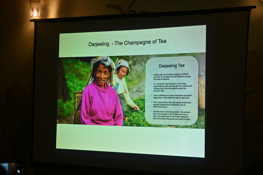 Towards the second half of the evening, Husna touched upon how tea came to Darjeeling from China through Robert Fortune, a British botanist. The British then started a plantation in Assam using the camellia assamica, a distinct variety of lower-growing tea, indigenous to Assam. Over time, Darjeeling tea gained in value due to its unique microclimate in the shadow of the Kanchenjunga. The British expanded tea cultivation across India, including the Dooars, the Kangra Valley, the Western Ghats and the Nilgiris