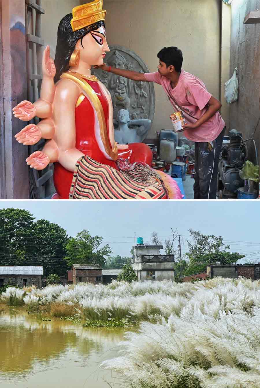 (Top) An artisan works on a large Durga idol at Kumartuli on Saturday and (above) kaash flowers in full bloom near Kolaghat 