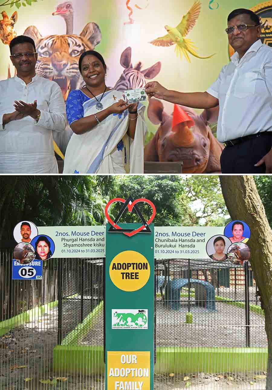 On the 150th anniversary of the Alipore Zoo, Birbaha Hansda, minister-of-state (independent charge) forest, mayor Firhad Hakim, Subhankar Sengupta, chief conservator of forests & director, Alipore Zoological Garden, inaugurated a new gate on Alipore Road on Monday. (In top picture) Minister Hansda receives access card of the zoo from additional chief forest secretary Manoj Kumar Agarwal and (above) the enclosure of the newly added mouse deer