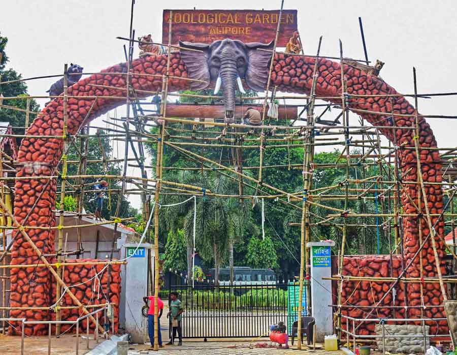 This year, the Alipore Zoological Garden is celebrating its 150th anniversary. Besides several events, the zoo is also getting a makeover. In picture, workers giving finishing touches to the new gate  