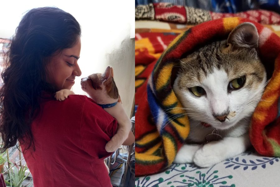 Asmita Mitra and pet cat, Tiktiki