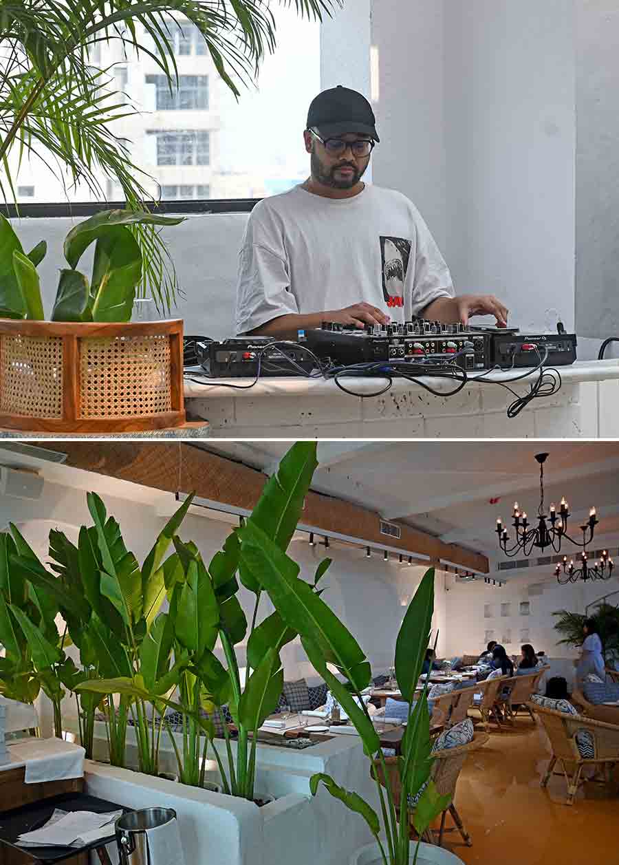 Planning a visit? Olive will be opening its doors to the public on April 25