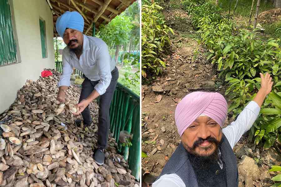 Once each seed turns into a plant, he hands them over to the farmers free of cost
