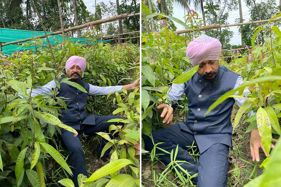 Over the years, in his ‘aam’ journey, students, teachers and entrepreneurs have joined to make a change for the farmers and the environment
