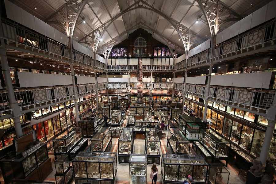 The Pitt Rivers Museum