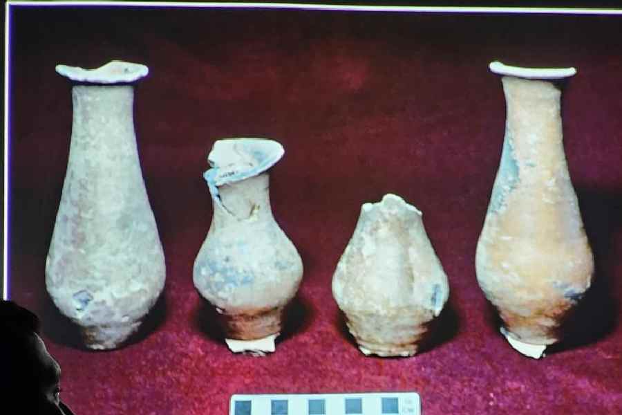 Pottery identified as Dumdum ware excavated from the field nearClive House shown at the seminar by Shubha Majumdar of ASI