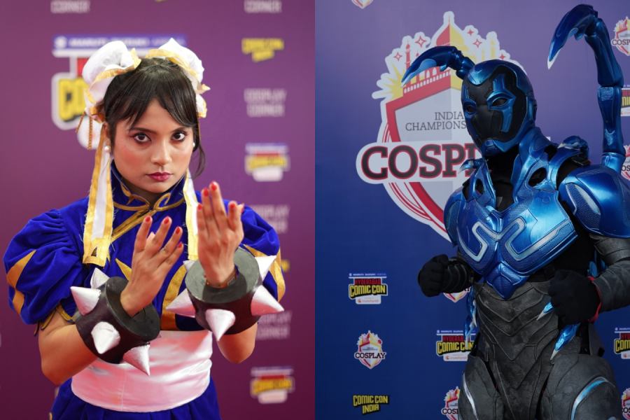 Comic Con India is an annual event that celebrates various pop culture fandoms