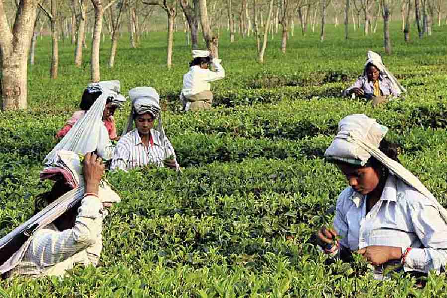 Representational picture