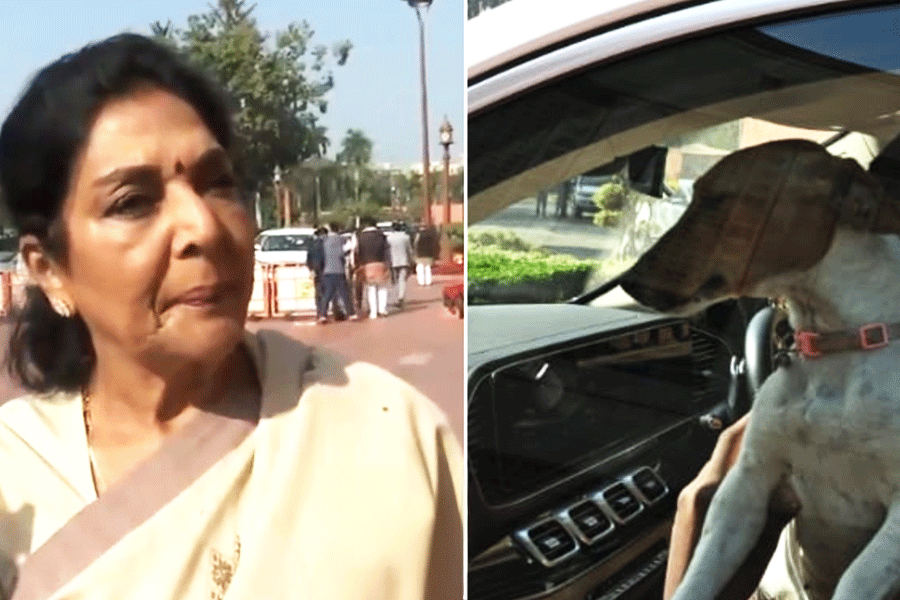 Renuka Chowdhury-dog-parliament