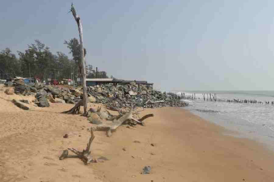 The proposed land for the port in Tajpur