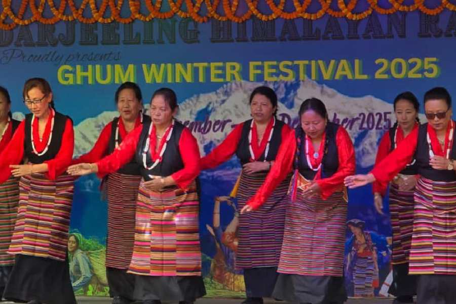 A dance programme underway at the winter festival 2025 on Sunday