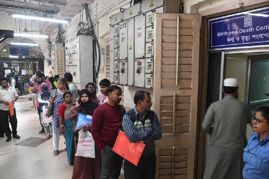 A long queue at the KMC office to collect certificates on Wednesday.