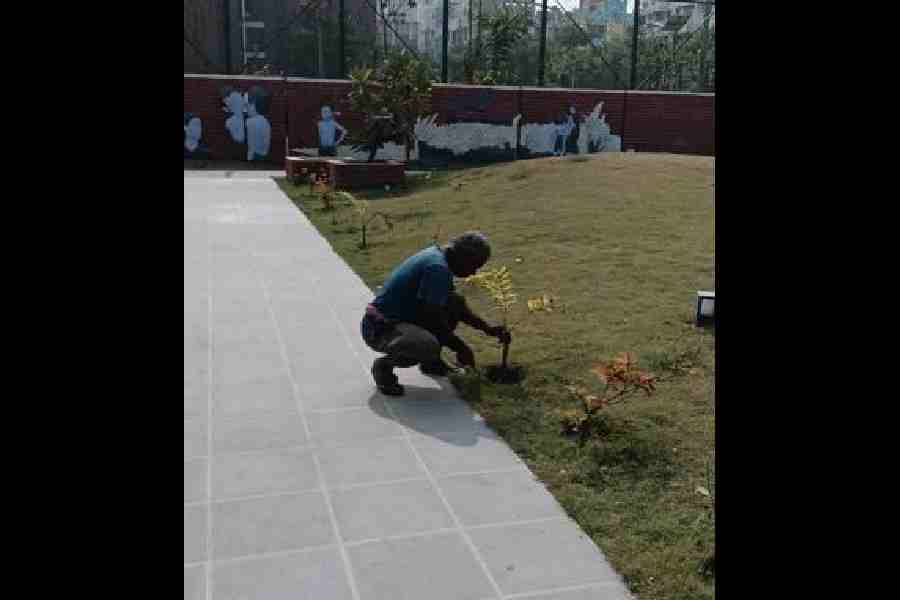 A gardener plants saplings in a flower bed in Apur Sansar Park