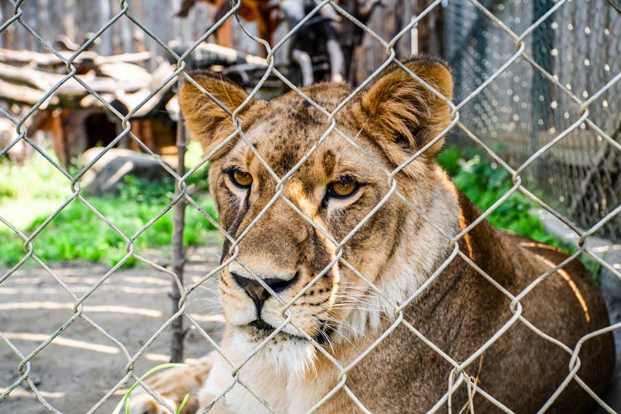 Representational image.