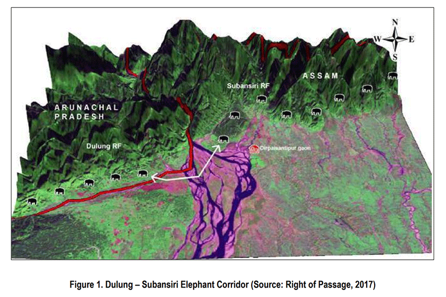 A map of the Dulung Subansiri elephant corridor (Screenshot from WII report) 
