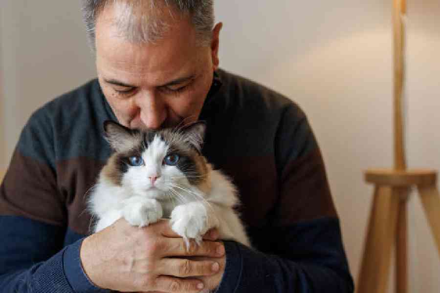 istock.com/bojanstory