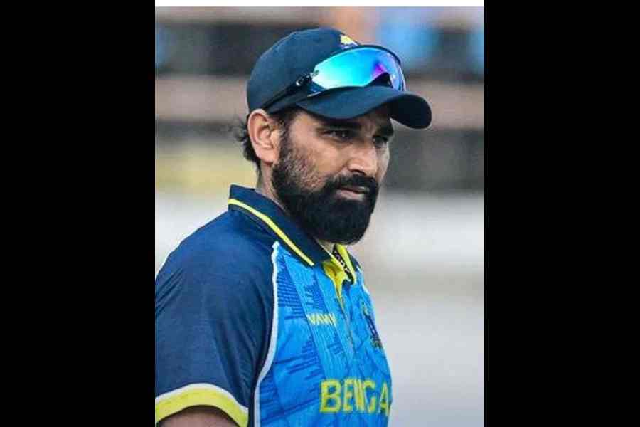 Mohammed Shami 