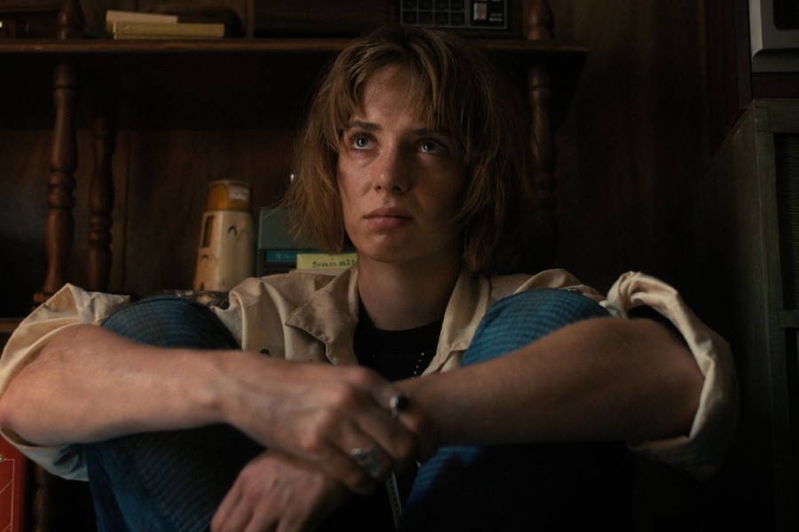 Robin from Stranger Things