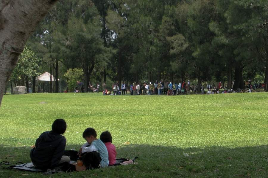 Many feel that the disintegration of joint families has been a major reason for this shift